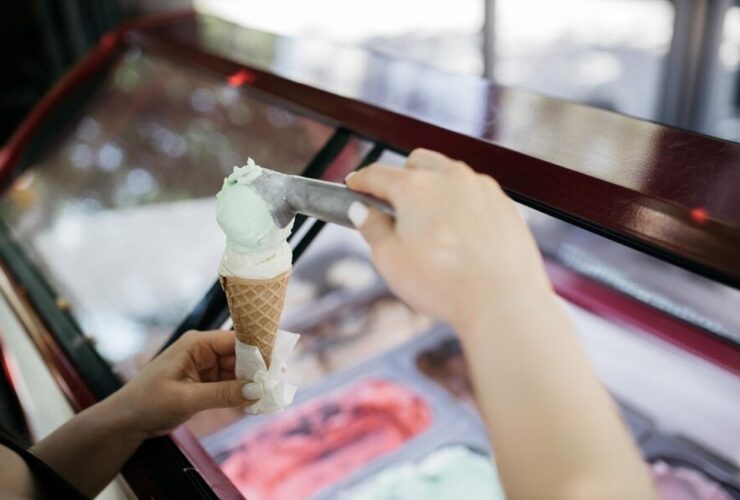 Którego producenta mebli chłodniczych wybrać - RAPA czy YATO? - Inne meble chlodnicze