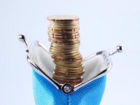 inwestecyjny portfel