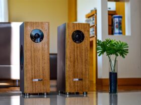 Kolumny centralne i podłogowe – jak stworzyć kinowy dźwięk w domowym salonie? - Ciekawostki kino domowe